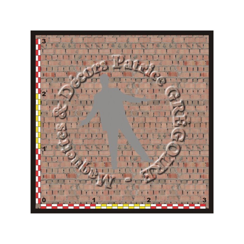 BRIQUES PLEINES 02