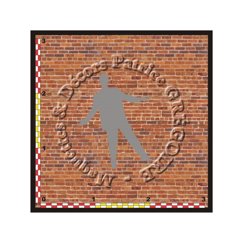 MUR BRIQUES PLEINES 46