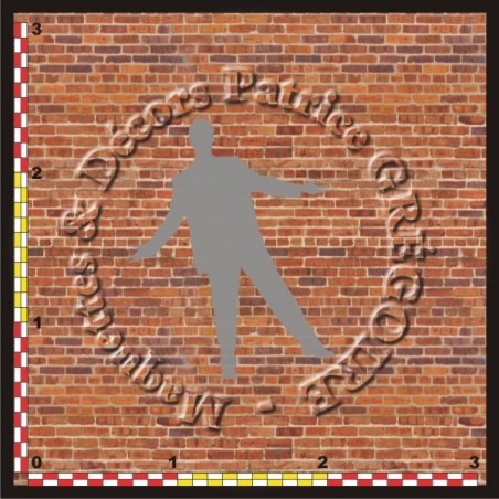 MUR BRIQUES PLEINES 46