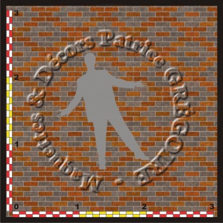 MUR BRIQUES PLEINES 69