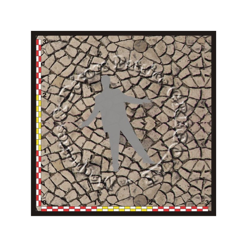 PAVES 03