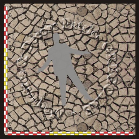 PAVES 03
