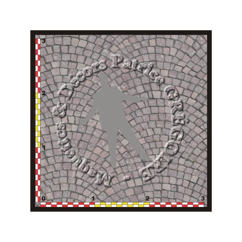 PAVES 08