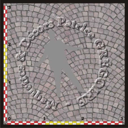 PAVES 08