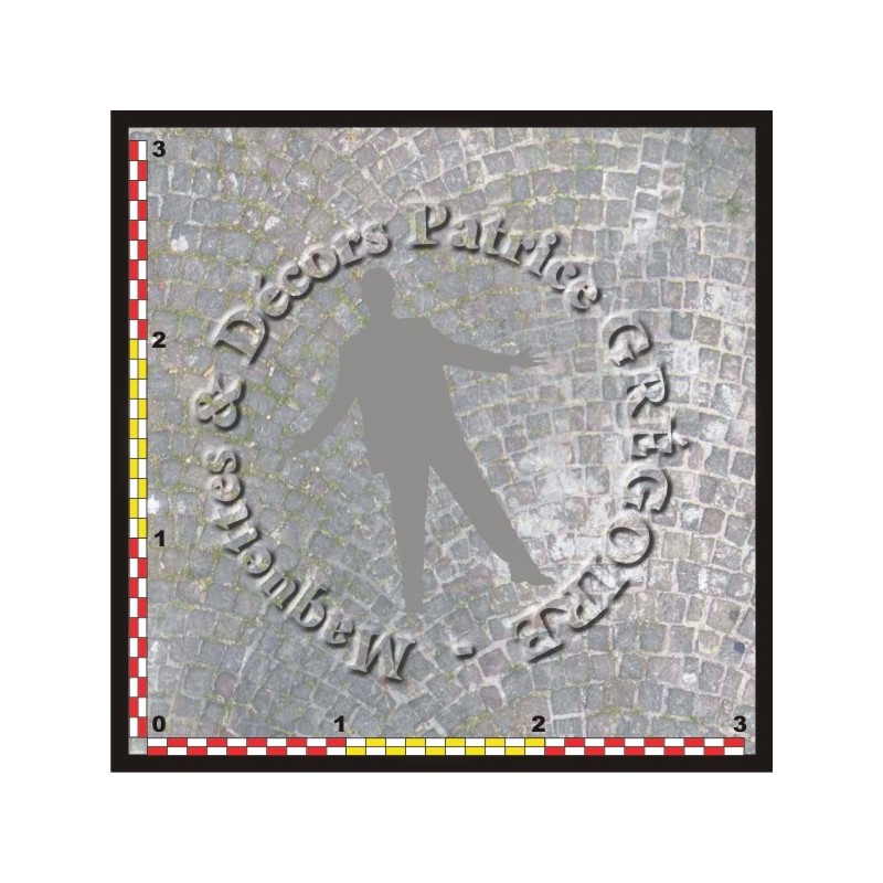 PAVES 10