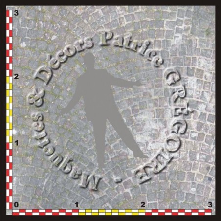 PAVES 10